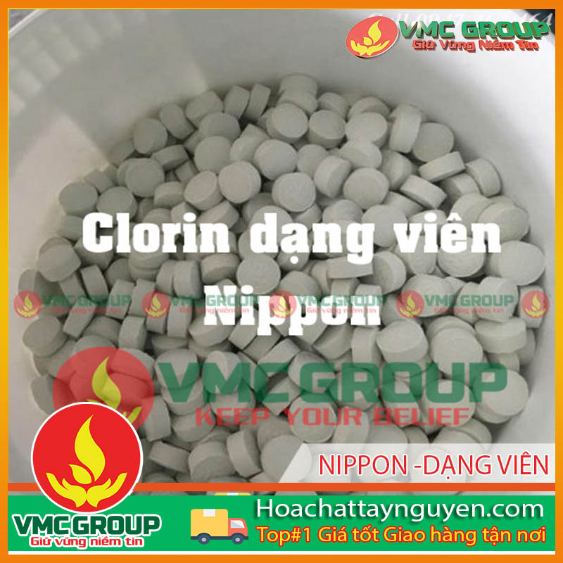 clorin-nippon-dang-vien-hctn