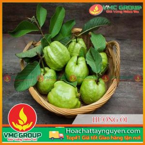 HƯƠNG ỔI THỰC PHẨM VMC
