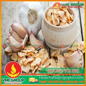 HƯƠNG TỎI PHI VMC
