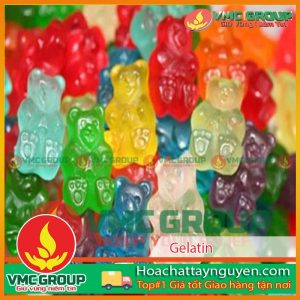 GELATINE – DÙNG TRONG THỰC PHẨM A250