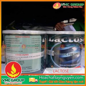 MEN TRỘN HỖ TRỢ ĐƯỜNG RUỘT LACTOSE 500G LON