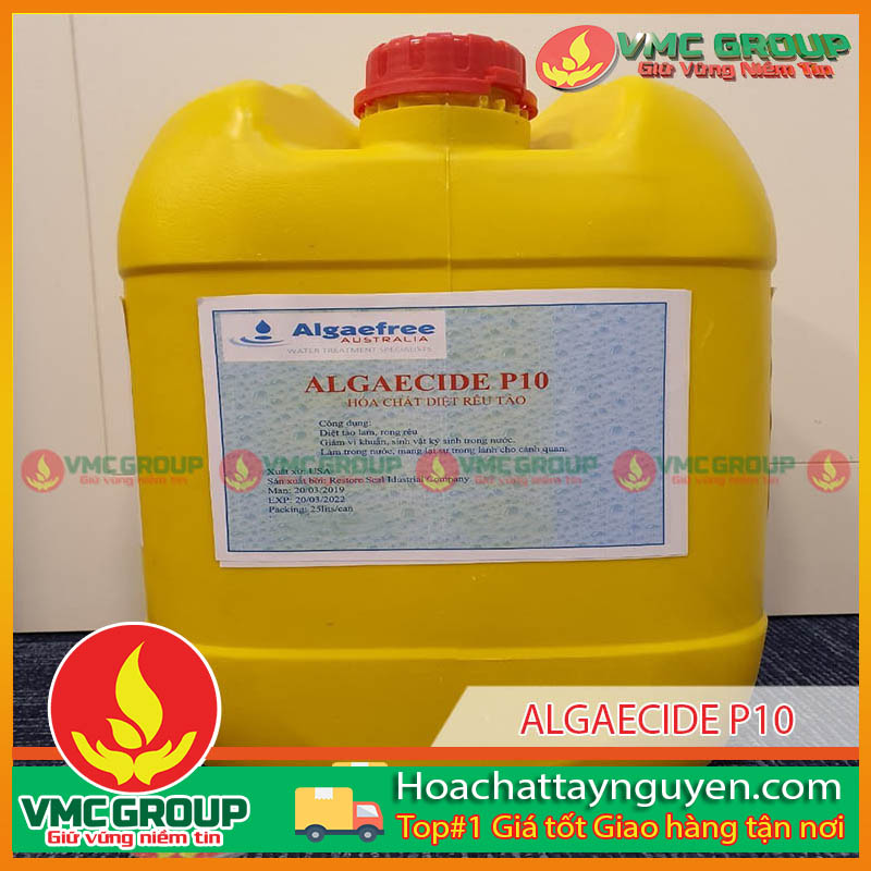 ALGAE CIDE P10 ALGAE CIDE P10 CAN 25KG USA