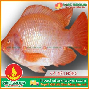 CÁCH PHÒNG TRỊ BỆNH CHO CÁ DIÊU HỒNG