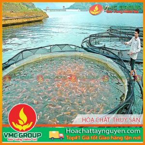 DANH MỤC KỸ THUẬT NUÔI THỦY SẢN
