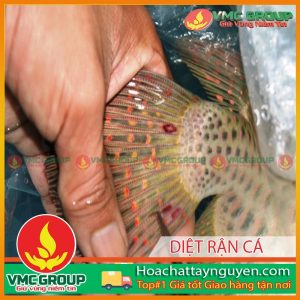 diet-ran-ca-hctn
