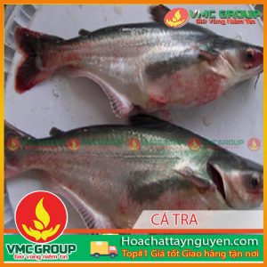 PHÒNG TRỪ CÁC BỆNH THƯỜNG GẶP Ở CÁ TRA,BASA