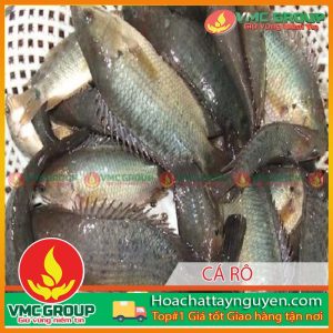 TÁC NHÂN GÂY BỆNH ĐEN THÂN Ở CÁ RÔ ĐỒNG NUÔI THÂM CANH