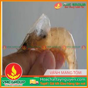 VẢNH MANG,BỆNH MỚI TÔM XUẤT HIỆN Ở TRÀ VINH