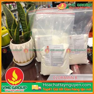 CLORAMIN B TRUNG QUỐC CHẤT KHỬ TRÙNG DIỆT KHUẨN TÚI 1KG SÉC