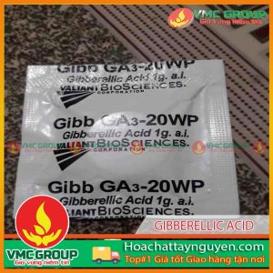 GA3 GIBBERELLIC ACID-DẠNG VIÊN SỦI 1G /GÓI