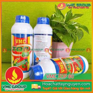 VMC TOP 80 – GIẢI PHÁP LOẠI BỎ HỘI CHỨNG GAN TỤY CẤP ( EMS)