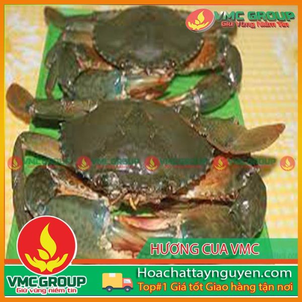 HƯƠNG CUA VMC