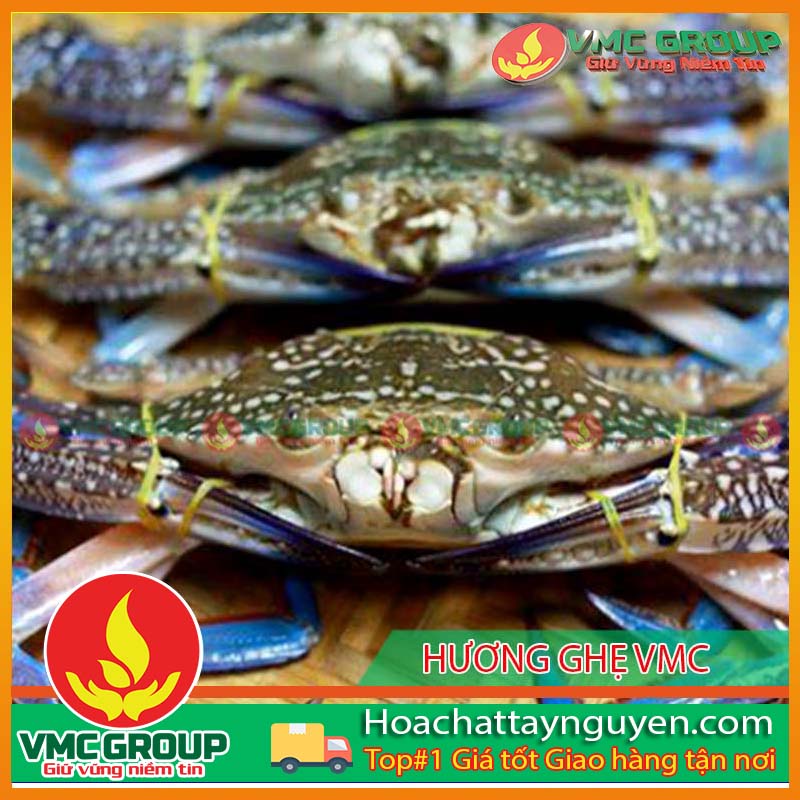 HƯƠNG GHẸ VMC HƯƠNG GHẸ VMC