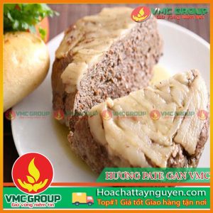 HƯƠNG PATE GAN VMC 