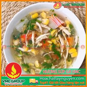 HƯƠNG SÚP GÀ VMC 