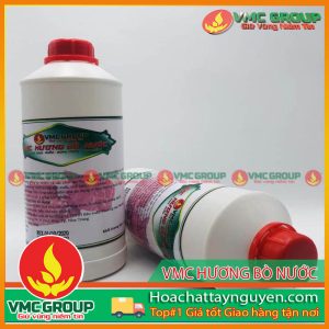 HƯƠNG THỊT BÒ VMC