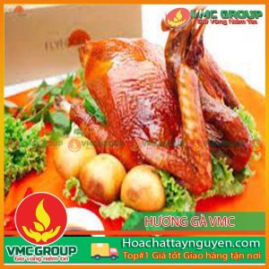 HƯƠNG THỊT GÀ DẠNG BỘT VMC