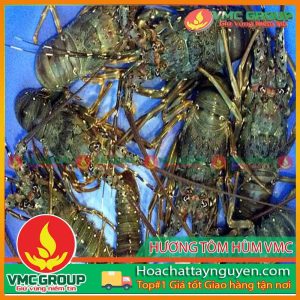 HƯƠNG TÔM HÙM VMC