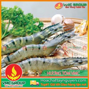 HƯƠNG TÔM VMC